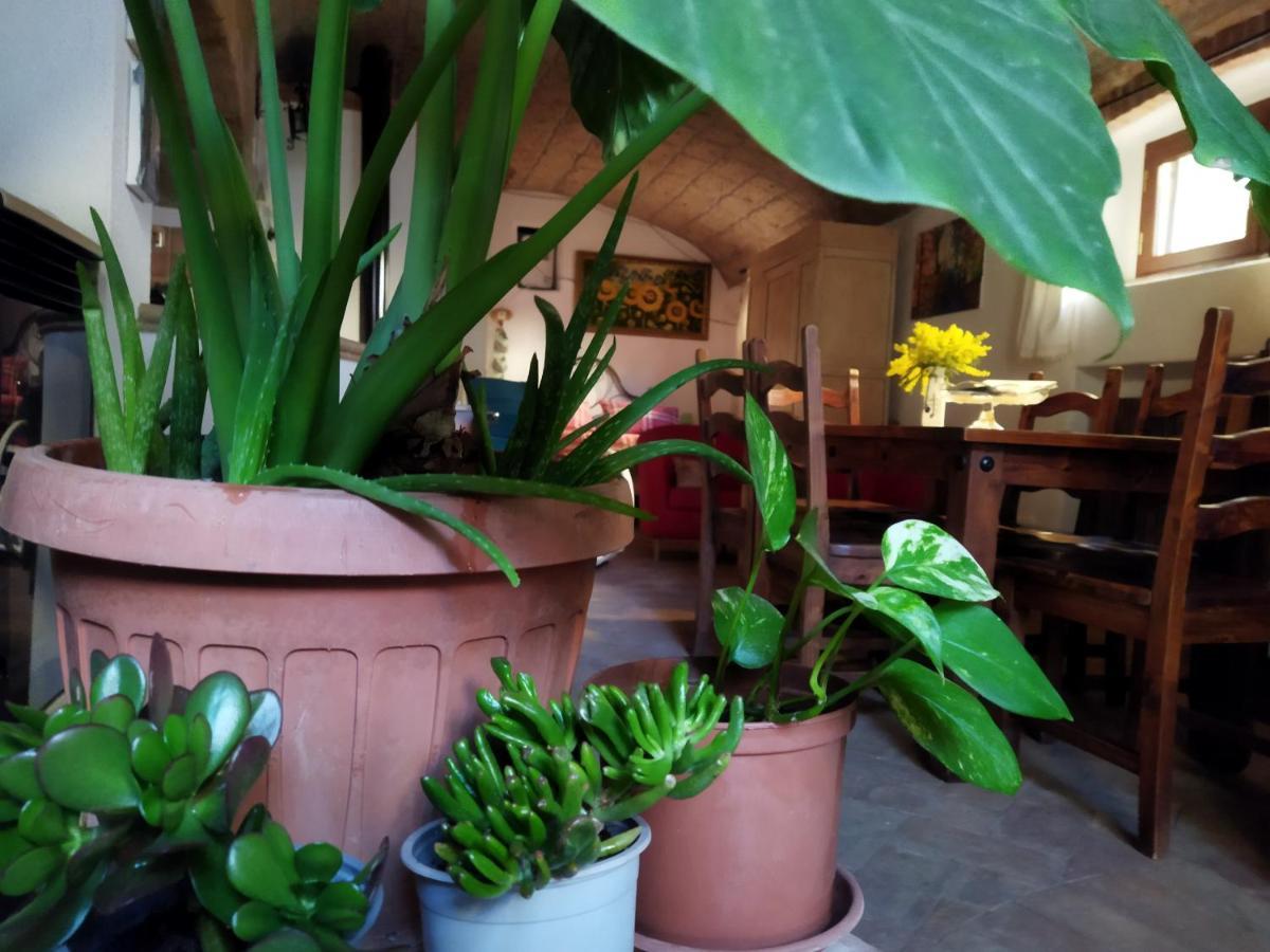 Romantic Loft Pitigliano Extérieur photo